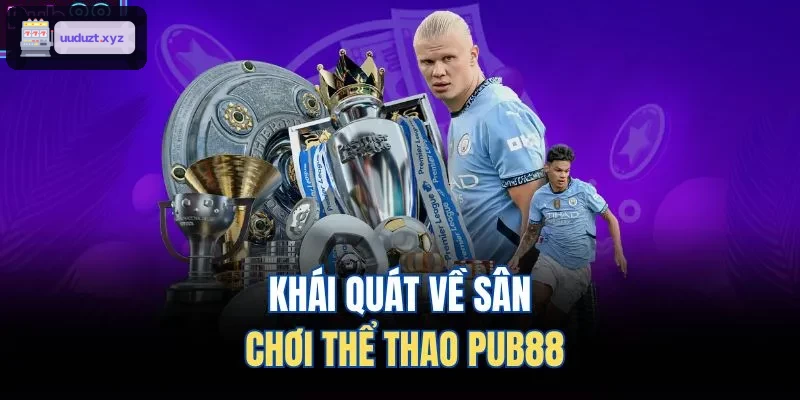 Khái quát về sân chơi thể thao 88VIN